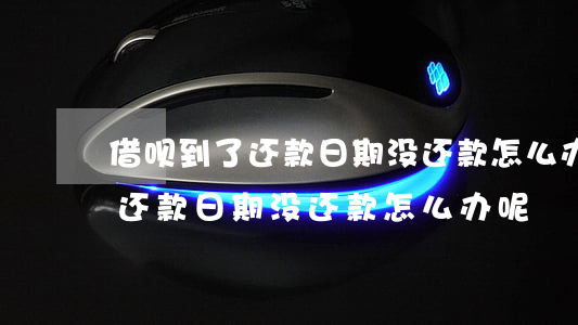 借呗到了还款日期没还款怎么办-借呗到了还款日期没还款怎么办呢