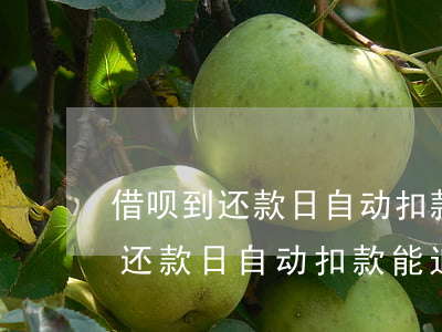 借呗到还款日自动扣款能追回来吗-借呗到还款日自动扣款能追回来吗安全吗