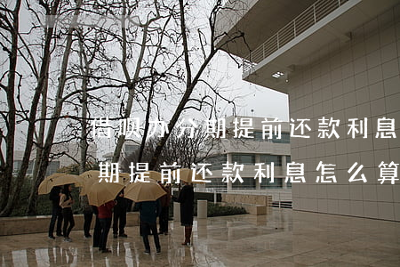 借呗办分期提前还款利息怎么算-借呗办分期提前还款利息怎么算的