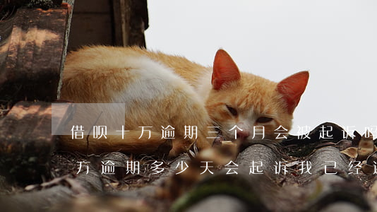借呗十万逾期三个月会被起诉吗-借呗欠十万逾期多少天会起诉,我已经还了2000多