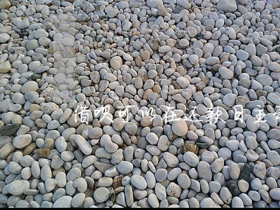 借呗可以在还款日主动还款吗？是否安全？