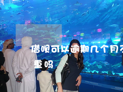 借呗可以逾期几个月不还(借呗逾期了半年严重吗)