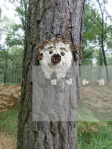借呗和信用卡各欠一万多(借呗欠多少)
