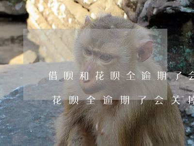 借呗和花呗全逾期了会关掉微信吗-借呗和花呗全逾期了会关掉微信吗安全吗