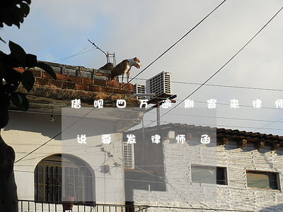 借呗四万逾期寄来律师函(借呗逾期160天,说要发律师函)