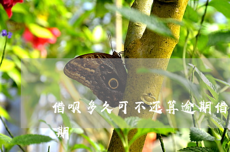 借呗多久可不还算逾期 借呗多久可不还算逾期