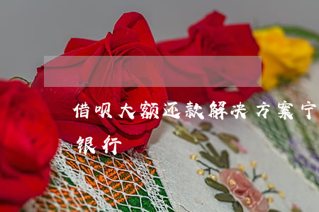 借呗大额还款解决方案宁波银行-借呗 宁波银行
