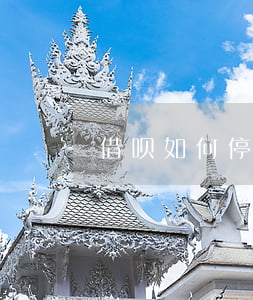 借呗如何停息挂账(借呗花呗停息挂账)