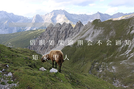 借呗如果逾期会不会通知(借呗逾期会不会通知家里人)