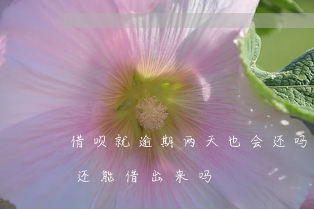 借呗就逾期两天也会还吗(借呗逾期俩天还了还能借出来吗)