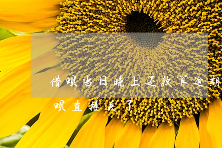 借呗当日晚上还款算逾期(支付宝逾期一天借呗直接关了)