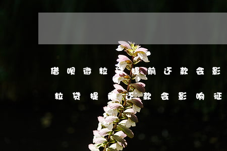 借呗微粒贷提前还款会影响征信吗-借呗微粒贷提前还款会影响征信吗知乎