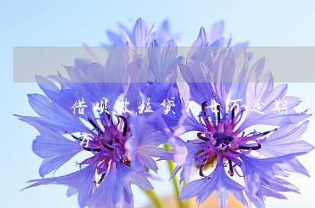 借呗微粒贷欠七万逾期利息多少(借呗逾期7万)