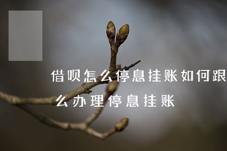 借呗怎么停息挂账如何跟银行协商-借呗怎么办理停息挂账