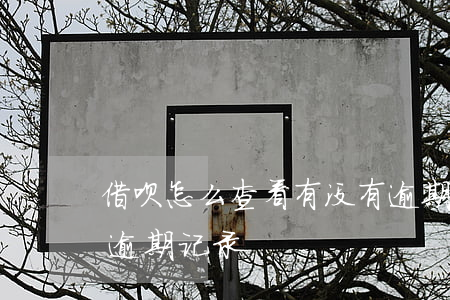 借呗怎么查看有没有逾期(支付宝如何查借呗逾期记录)