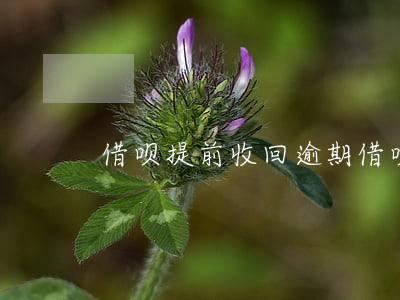 借呗提前收回 逾期(借呗提前收回 逾期怎么办)