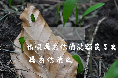 借呗提前结清没额度了（支付宝借呗未逾期能提前结清么）