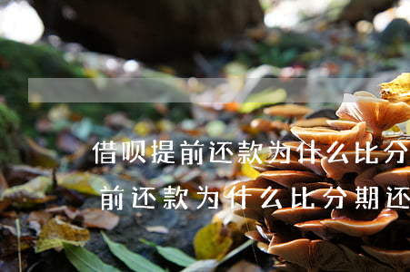 借呗提前还款为什么比分期还款高-借呗提前还款为什么比分期还款高呢