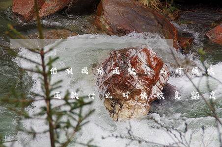 借呗提前还款什么时候恢复额度-借呗提前还款什么时候恢复额度啊