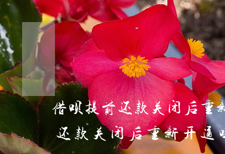 借呗提前还款关闭后重新开通吗-借呗提前还款关闭后重新开通吗安全吗