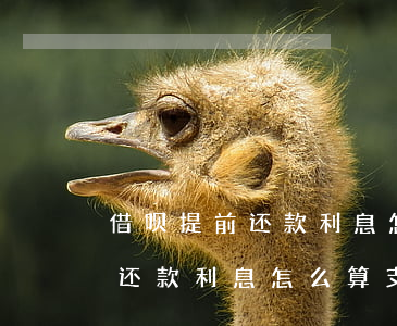 借呗提前还款利息怎么算支付宝-借呗提前还款利息怎么算支付宝的