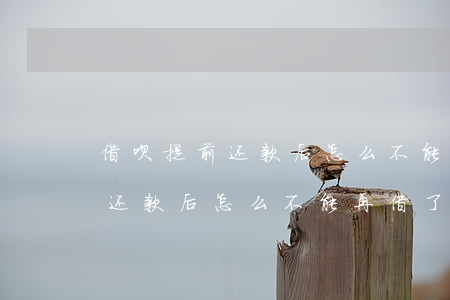 借呗提前还款后怎么不能再借了-借呗提前还款后怎么不能再借了呢