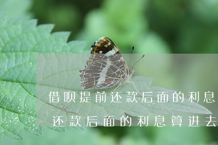 借呗提前还款后面的利息算进去-借呗提前还款后面的利息算进去了吗