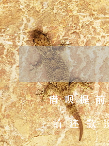 借呗提前还款没额度什么时候恢复-借呗提前还款没额度什么时候恢复正常