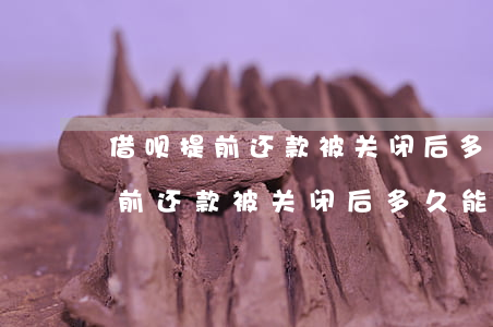借呗提前还款被关闭后多久能开通-借呗提前还款被关闭后多久能开通啊