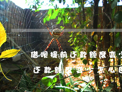 借呗提前还款额度变少怎么回事-借呗提前还款额度变少怎么回事啊