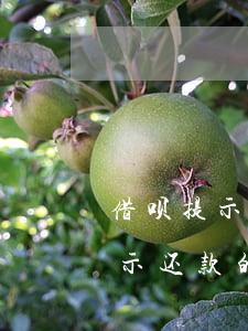 借呗提示还款的短信能加黑名单么-借呗提示还款的短信能加黑名单么