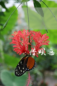 借呗无逾期全部还完会不会被关-