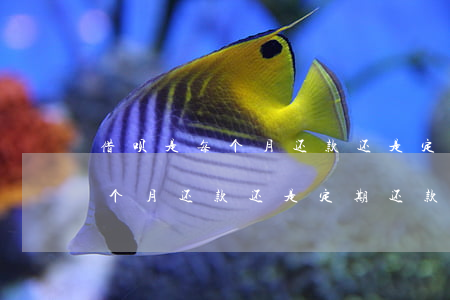 借呗是每个月还款还是定期还款-借呗是每个月还款还是定期还款好
