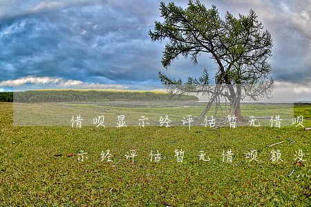 借呗显示经评估暂无借呗额没逾期-借呗显示经评估暂无借呗额没逾期有影响吗