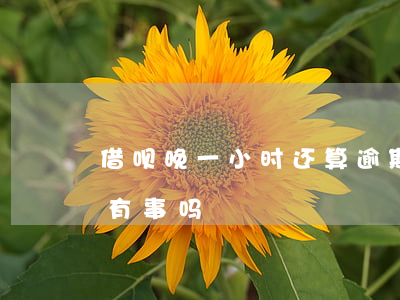 借呗晚一小时还算逾期吗(借呗晚一个小时还有事吗)