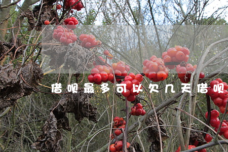 借呗最多可以欠几天(借呗可以欠多久)