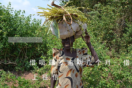 借呗最多逾期几个月-借呗最多逾期几个月上征信
