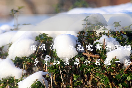 借呗有一万元逾期会被起诉吗(借呗逾期1万多了,如果每个月还一些会被起诉吗)