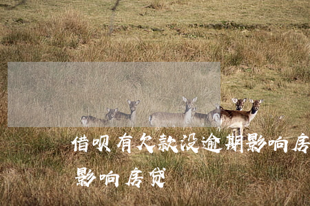 借呗有欠款没逾期影响房贷(借呗无逾期影不影响房贷)