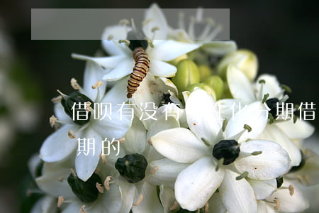 借呗有没有个性化分期 借呗有没有个性化分期的