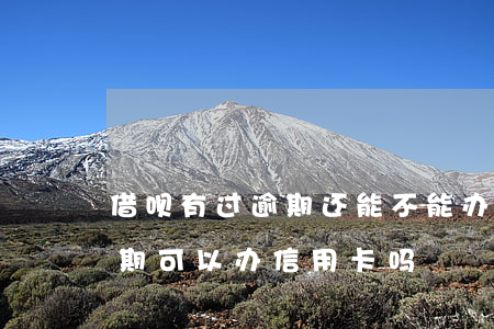 借呗有过逾期还能不能办信用卡(借呗有过逾期可以办信用卡吗)