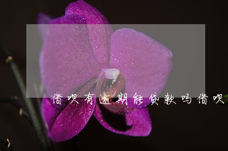 借呗有逾期能贷款吗（借呗有逾期能借到钱吗）