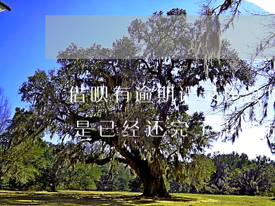 借呗有逾期记录还会提额(借呗有逾期记录但是已经还完了影响房贷么)