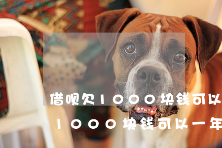 借呗欠1000块钱可以一年还吗-借呗欠1000块钱可以一年还吗多少钱