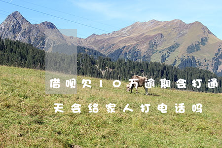 借呗欠10万逾期会打通讯录吗(借呗逾期十天会给家人打电话吗)