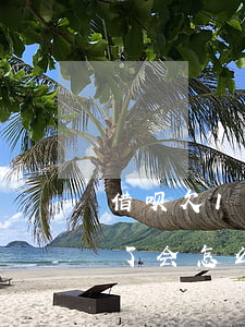 借呗欠10几万还不起了(借呗十二万还不起了会怎么样)