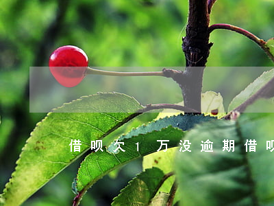 借呗欠1万没逾期(借呗欠一万多逾期)