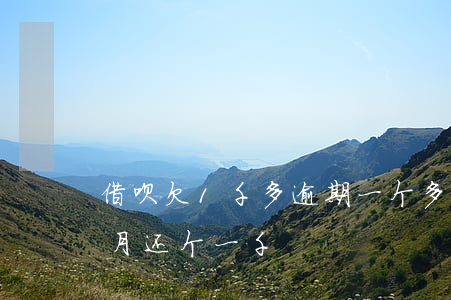 借呗欠1千多逾期一个多月(借呗逾期了每个月还个一千)