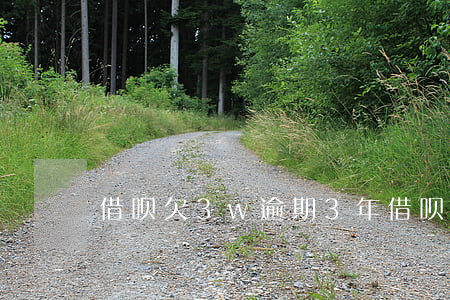 借呗欠3w逾期3年(借呗3万多逾期一年半)