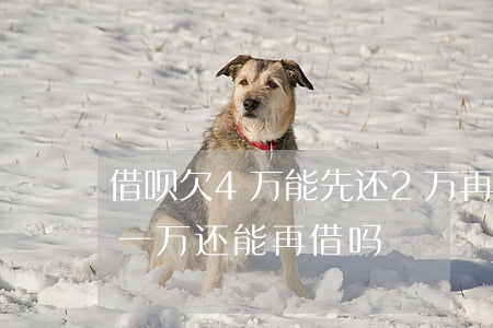 借呗欠4万能先还2万再借出来吗(借呗借了一万还能再借吗)